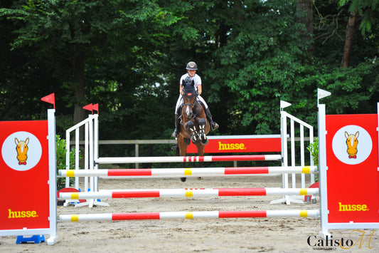 Jahalna šola na šolskem konju- SKAKANJE
